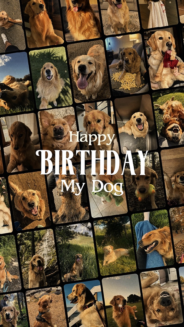 Feliz cumpleaños perro 