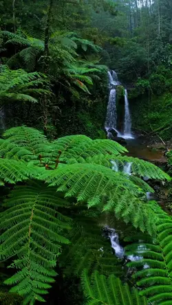 nature vibes