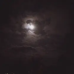 repost, 7weeks&3days