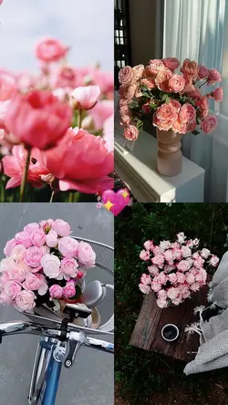 Pembe 💖🌸
