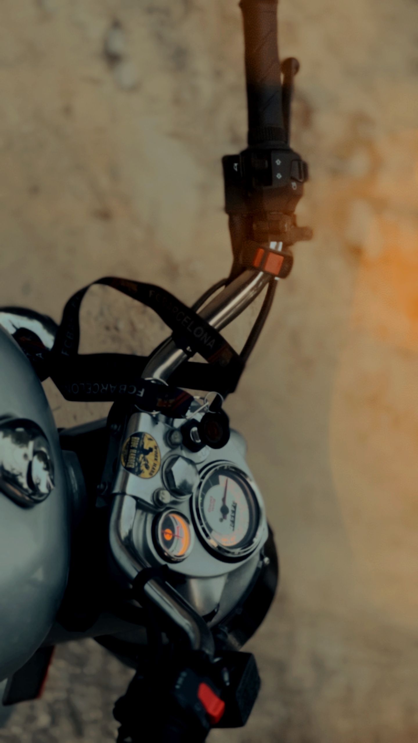 Cover Picture