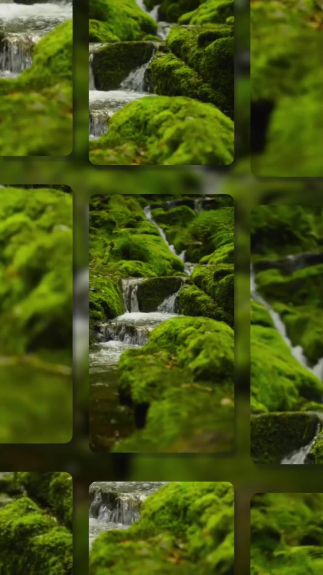 4 video or photo 