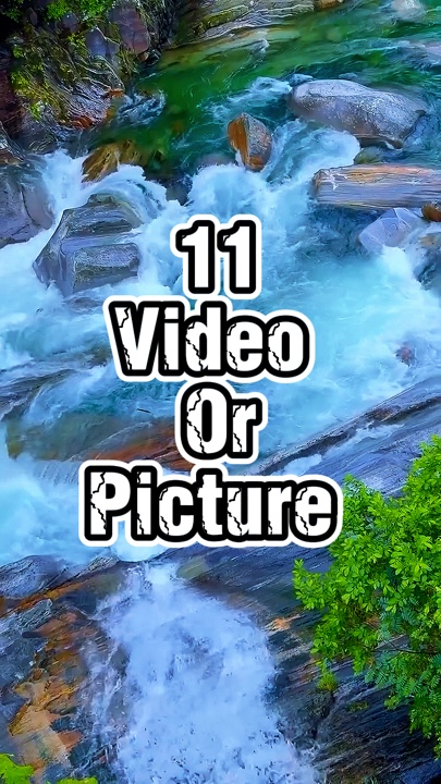 11 video o larawan 