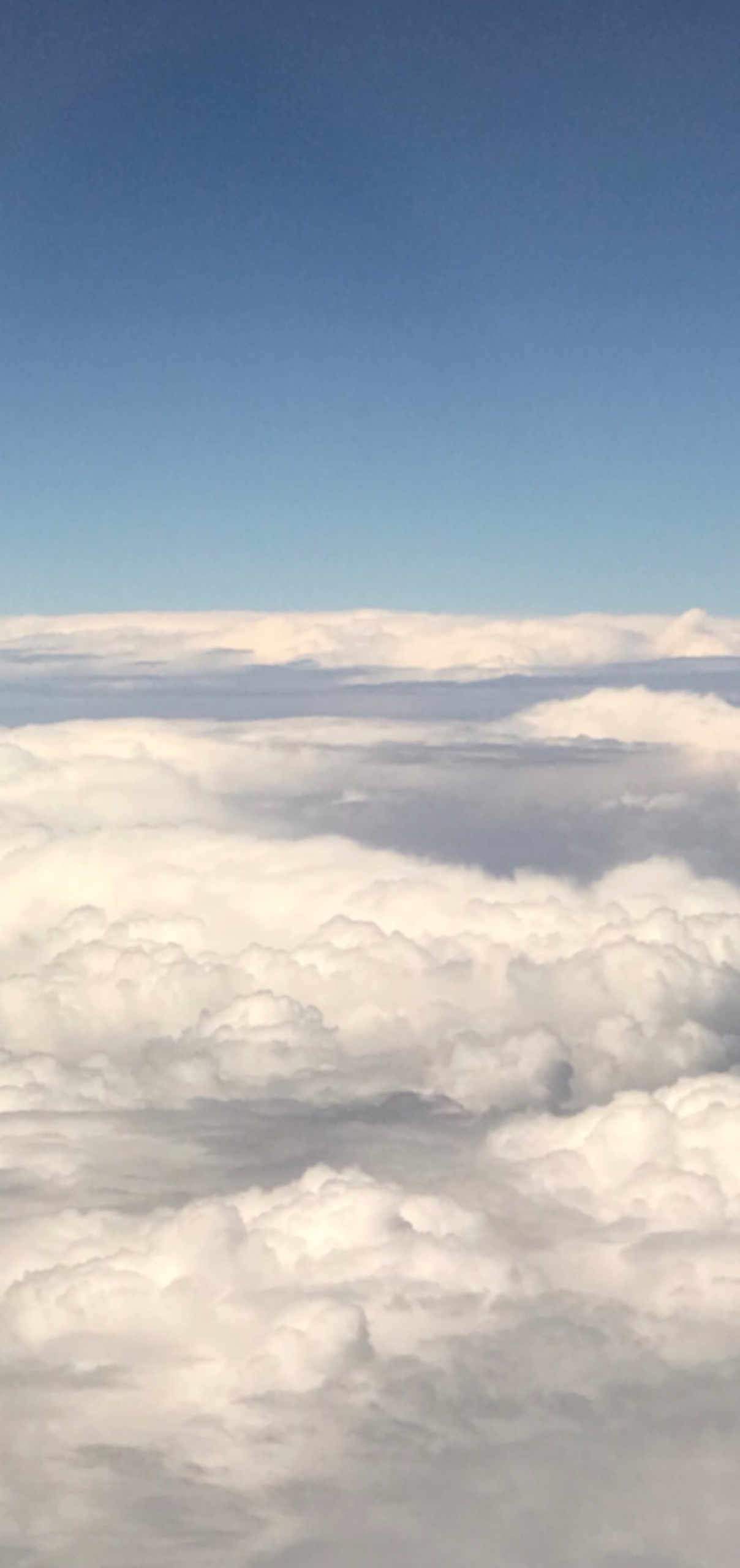 Edit berbat olduğğ