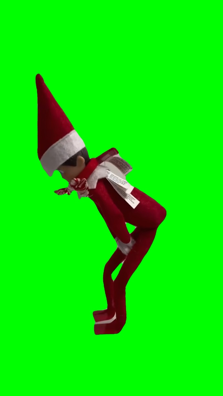 Elf Got Shelf