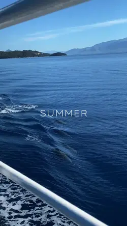 SUMMER VIBES 