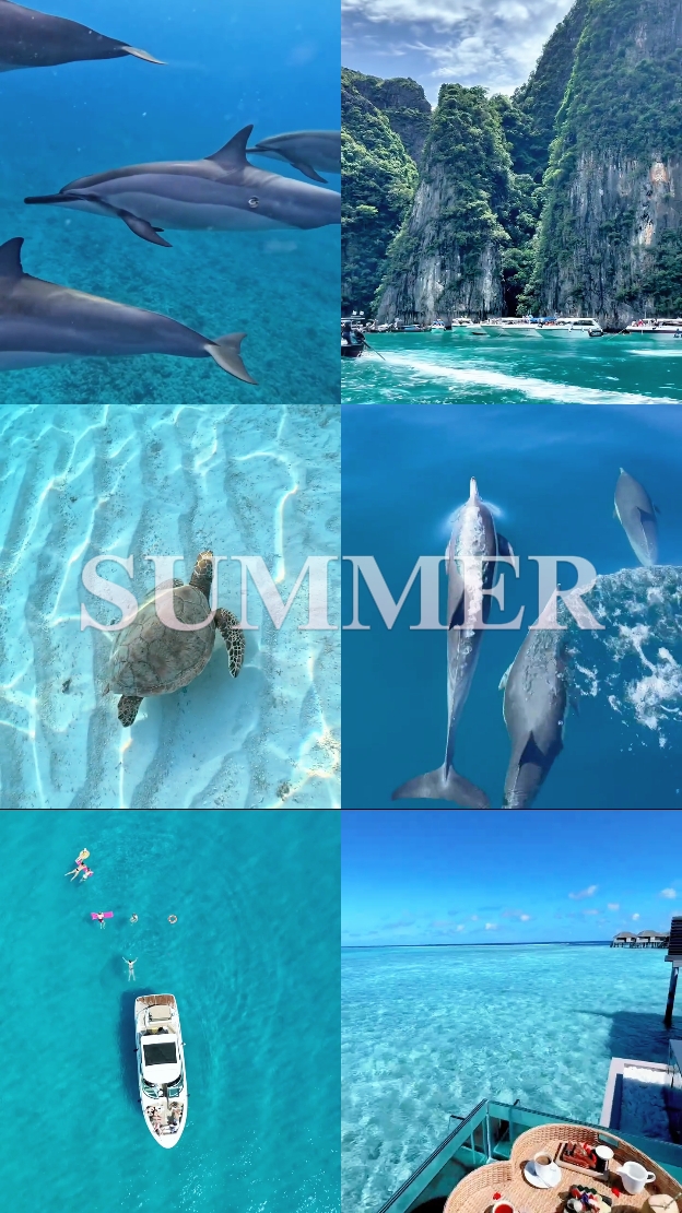 SUMMER
