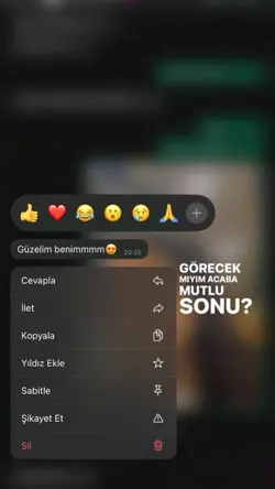 Ne dilersen dile...