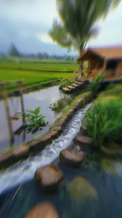 Blur Transition