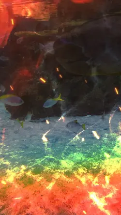 Comic Fish 