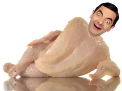 sexy chicken