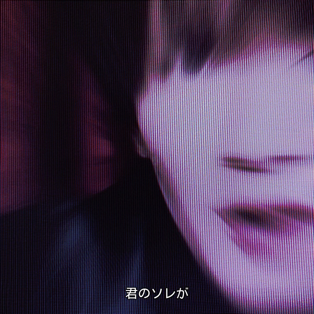 𓂃◌𓈒 キャットラビング 