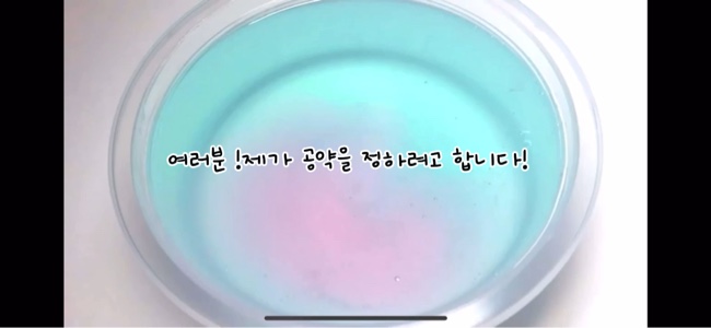 공약 정했어용