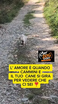 cane che ti aspetta 