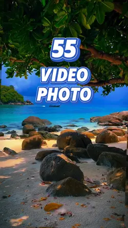 55 video or photo 