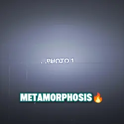 Metamorphosis