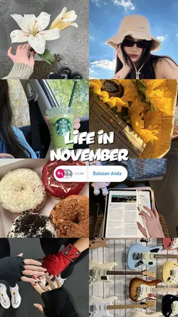 life in november