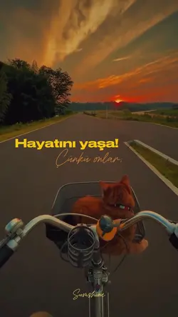 Hayatını yaşa…”