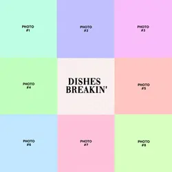 DISHES BREAKIN'