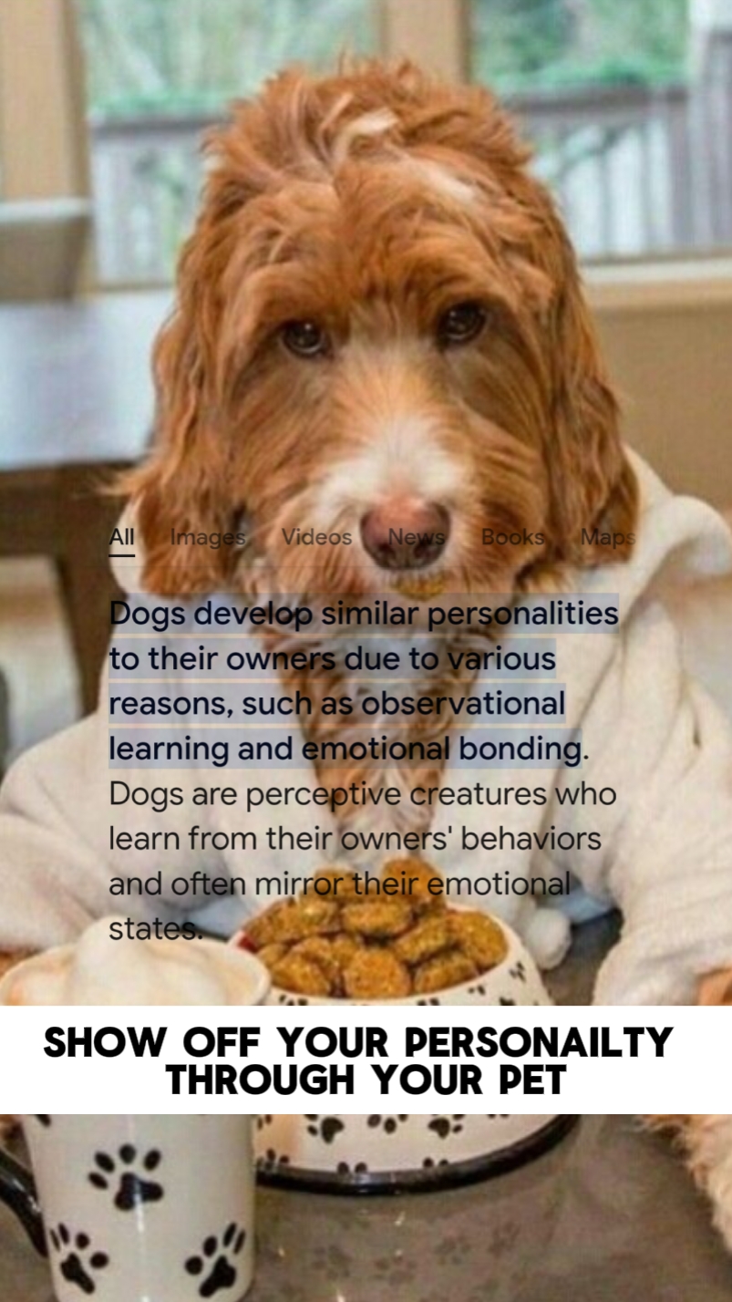 Caniche [Google]