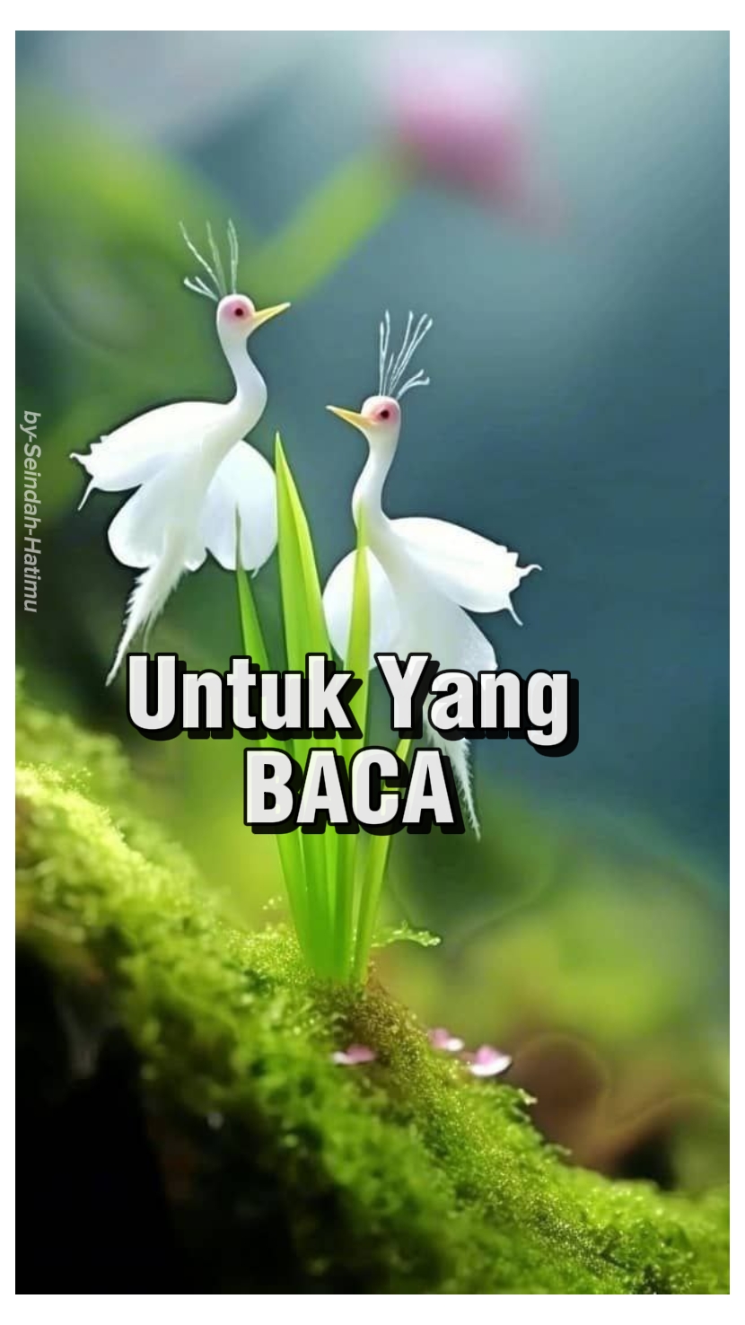 UTK YG BACA 201223