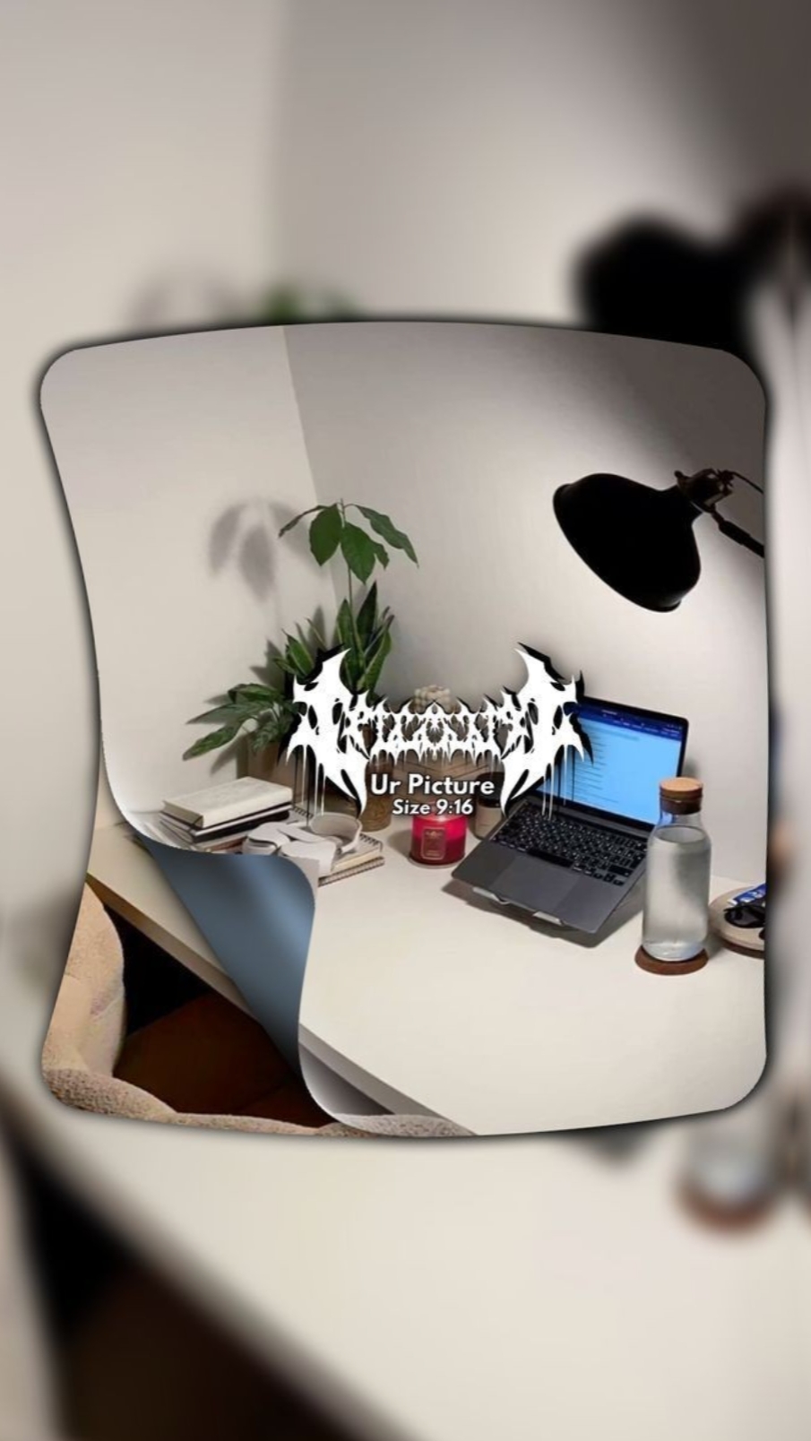 Cover Picture