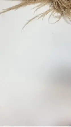 Apresentação