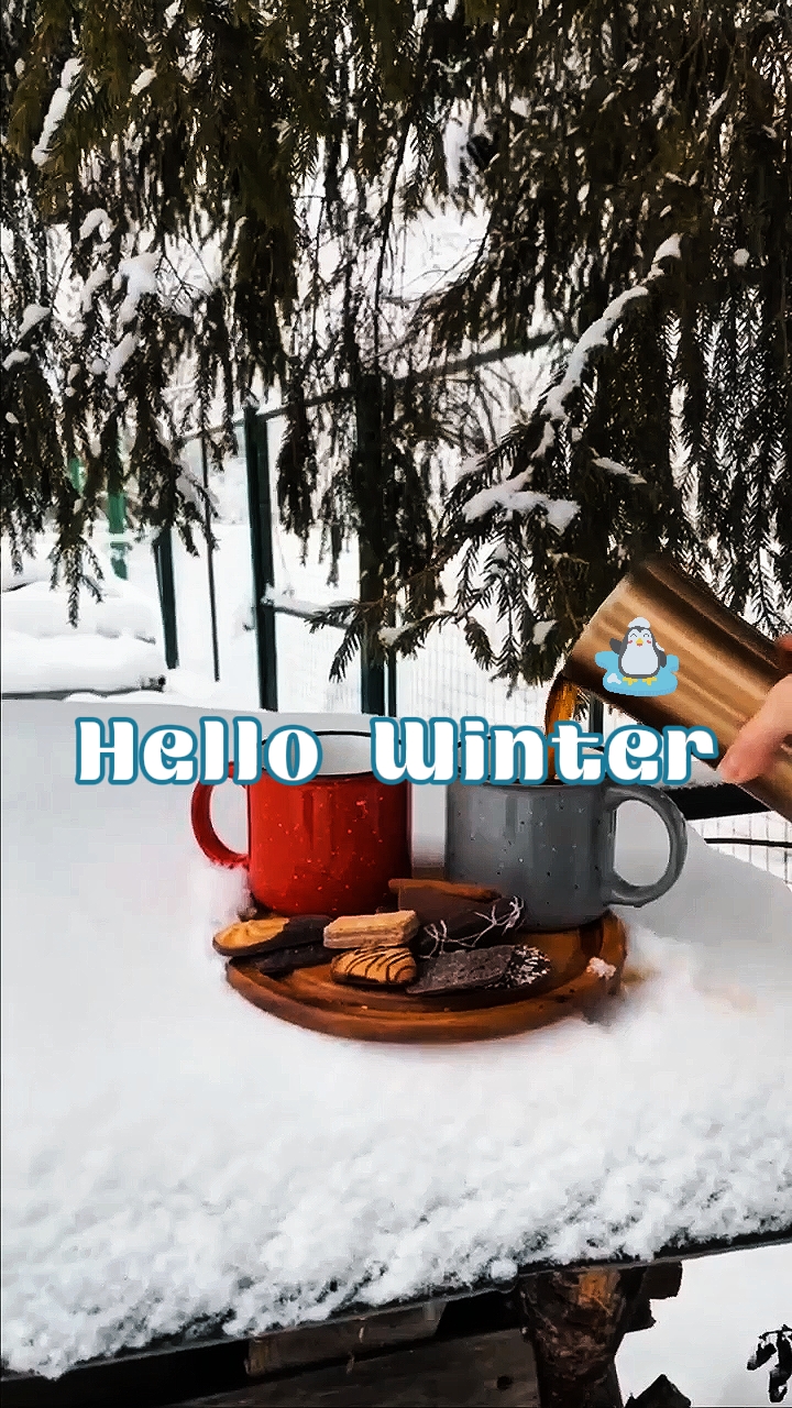 Bonjour hiver