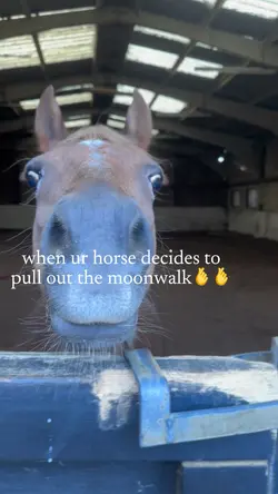 mj mare🥹🥹