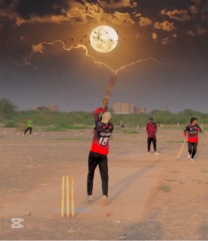 Cricket 