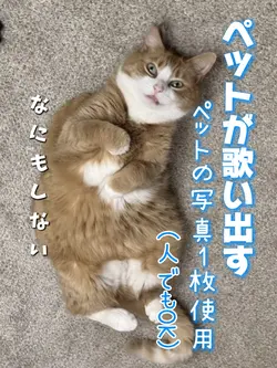 写真が歌い出す‼️