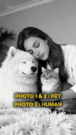 Me and My Pets