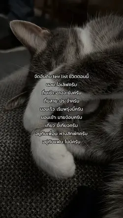 teir listชีวิตตอนนี้