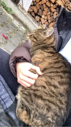 I love animals