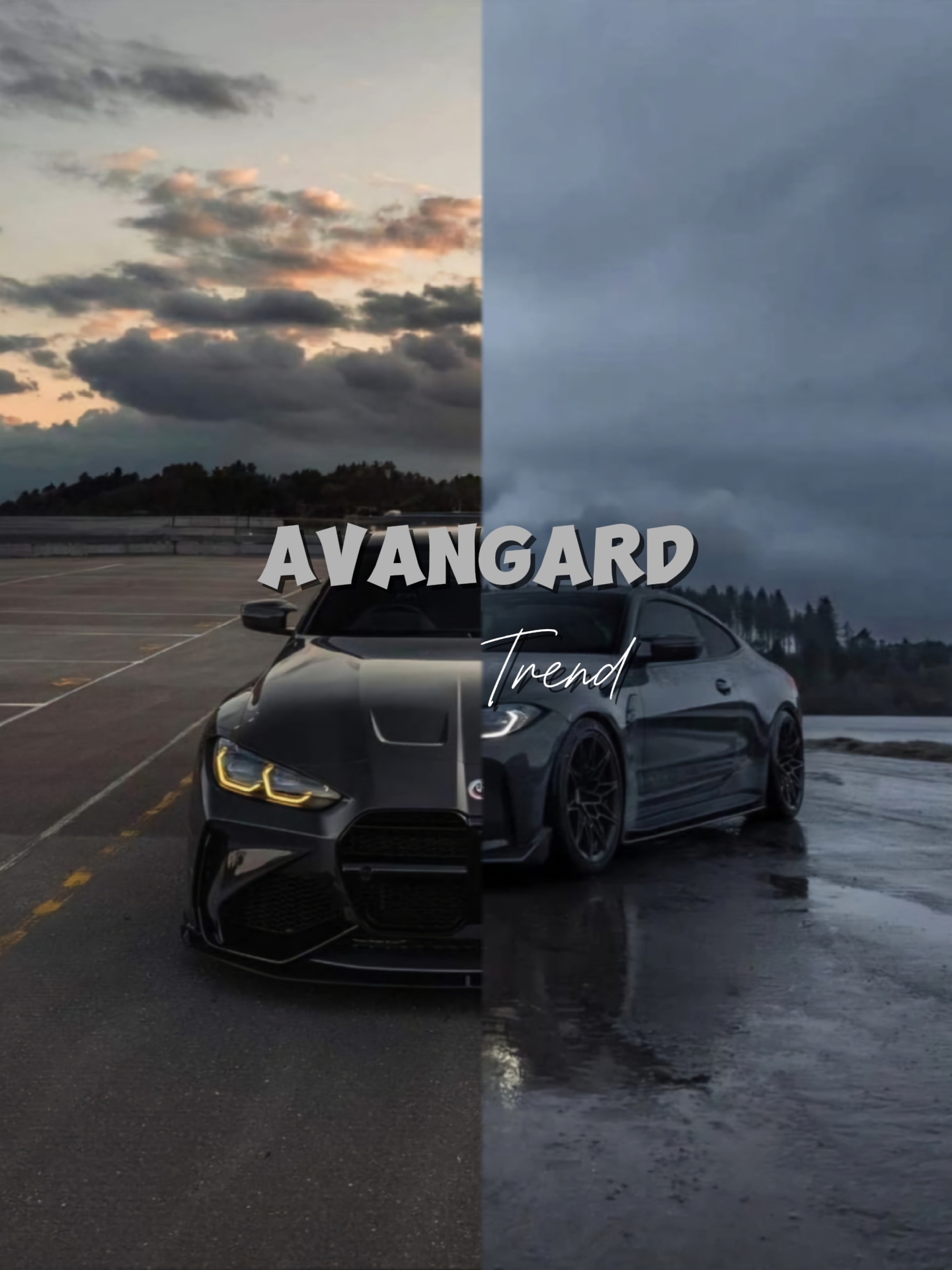 AVANGARD 2 fotos