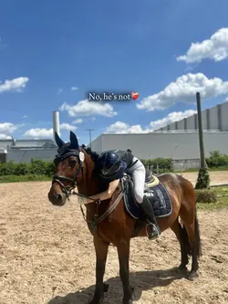 not just a horse❤️‍🩹