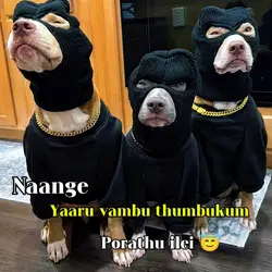 Tag your gang
