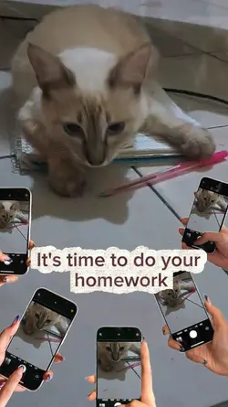 É hora de estudar