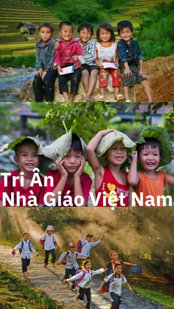 Tri ân 20/11
