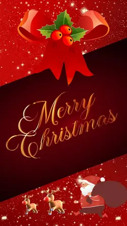 気軽に…クリスマス🎄4枚でok
