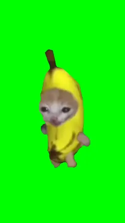 Cat Banana Meme 
