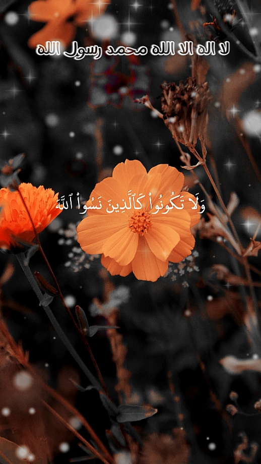 قرآن كريم 