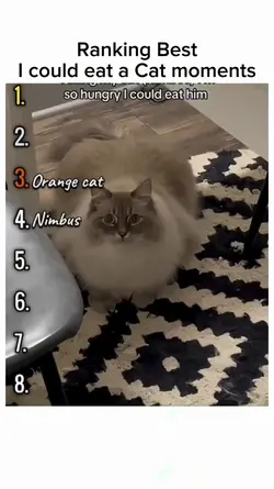 Cat moments