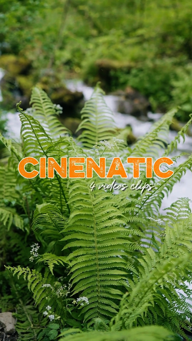 Cinematic Rak