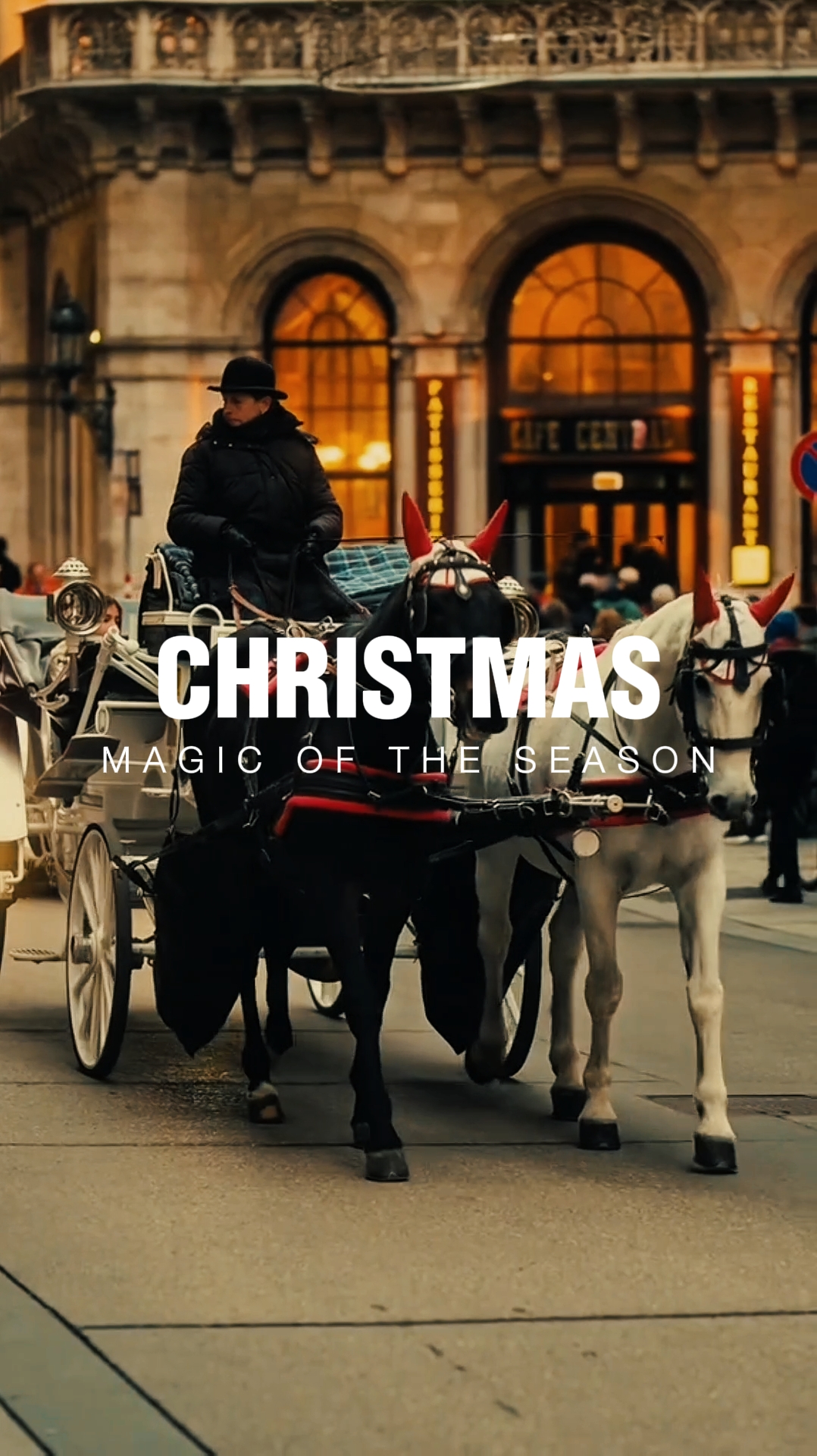 Feliz Navidad 