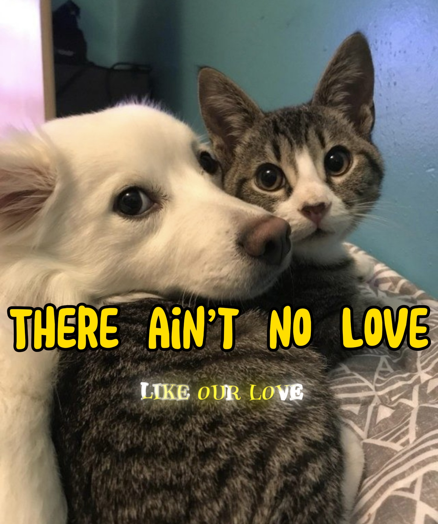 There ain’t no lov