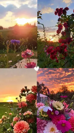 flowers collage