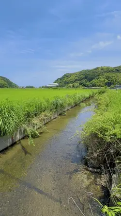 風薫る