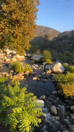 Nature Trip 