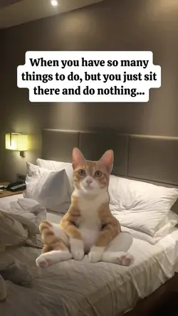 so have many things 
